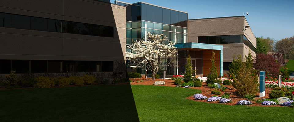 Mira Loma Landscapers